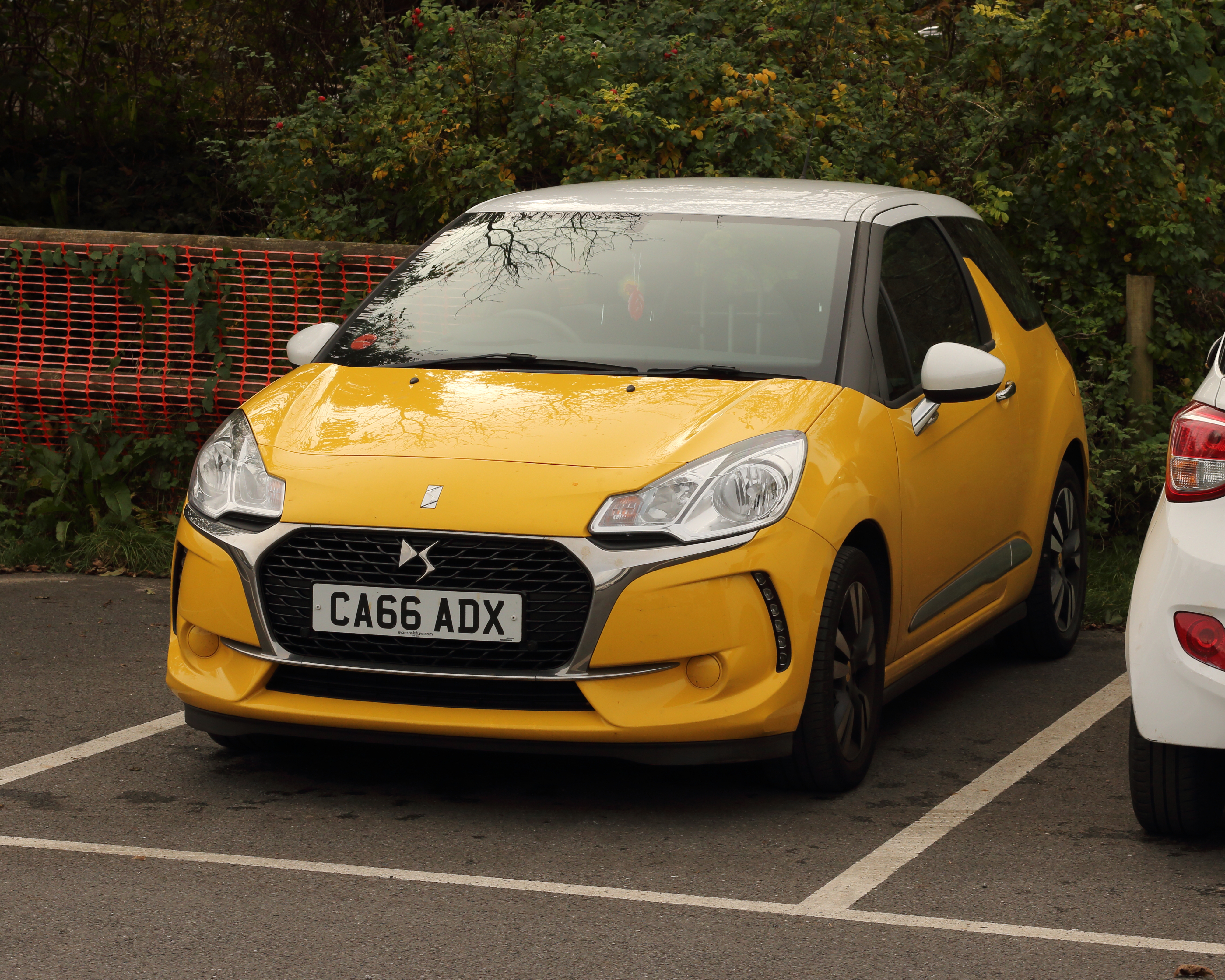 Yellow DS 3.jpg